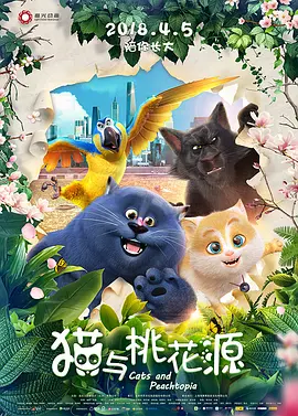 老板的老婆