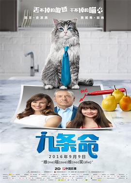 同志影视