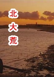 av免费在线网站