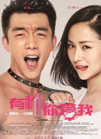 母犬训练vk