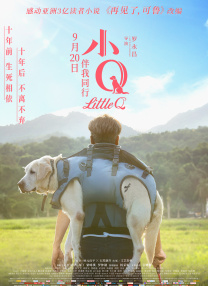 S女友