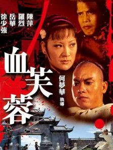 久久精品国产亚洲aa